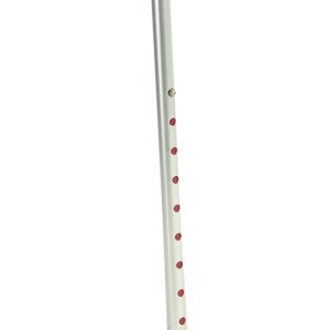 Baston cu 4 picioare